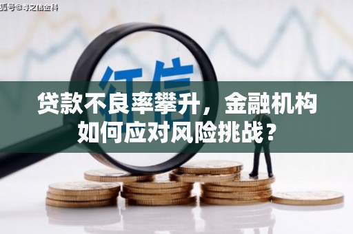 安仁贷款不良率攀升，金融机构如何应对风险挑战？