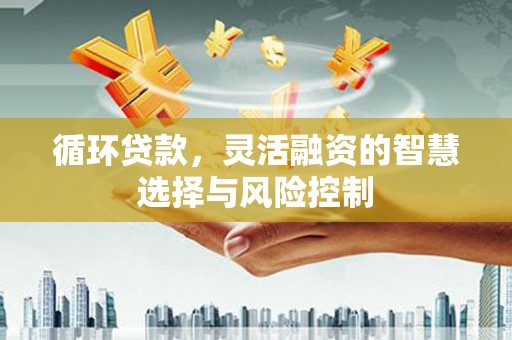 宛城循环贷款，灵活融资的智慧选择与风险控制