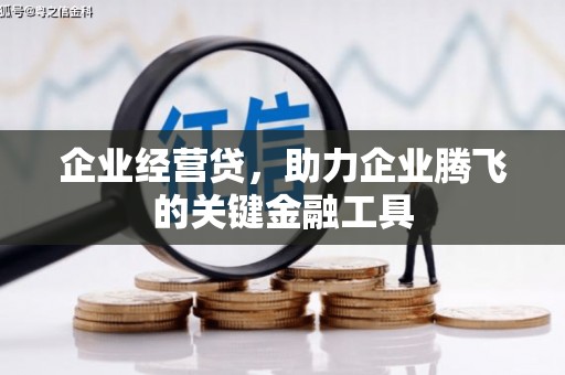 云岩企业经营贷，助力企业腾飞的关键金融工具