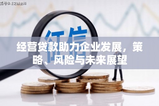 墨竹工卡经营贷款助力企业发展，策略、风险与未来展望