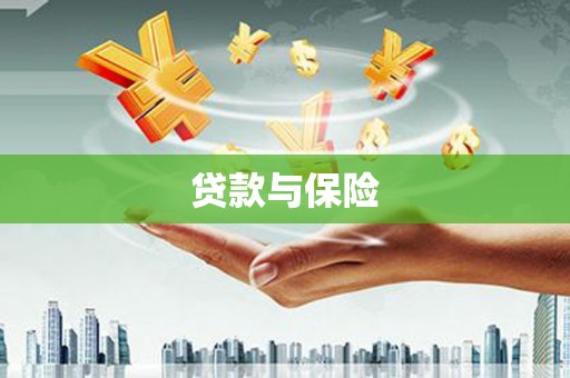 茅箭贷款与保险