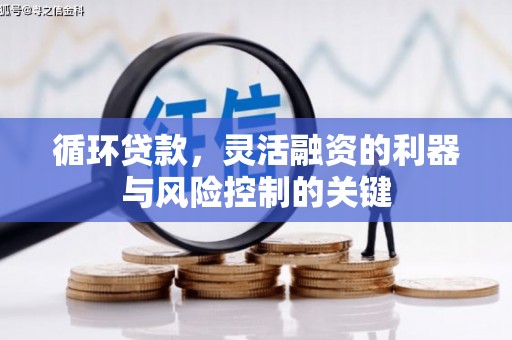 昌乐循环贷款，灵活融资的利器与风险控制的关键