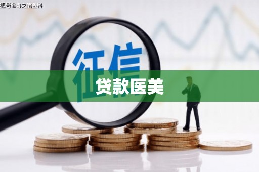 岱岳贷款医美