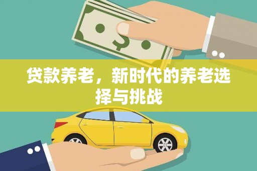 惠济贷款养老，新时代的养老选择与挑战