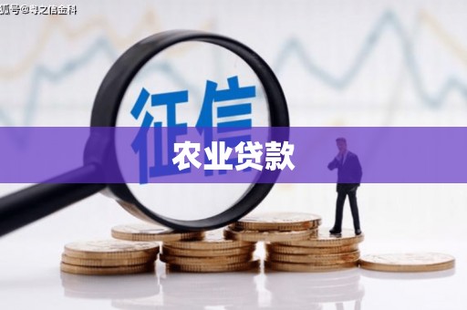 灞桥农业贷款
