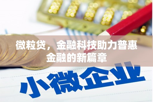 龙湾微粒贷，金融科技助力普惠金融的新篇章