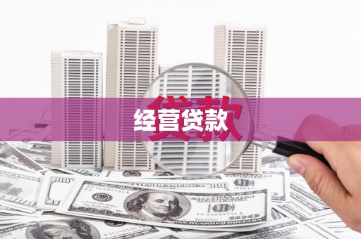 柳营经营贷款
