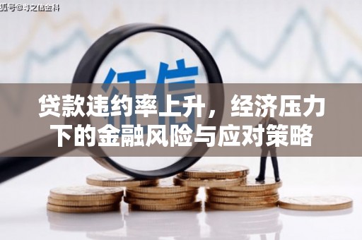 共和贷款违约率上升，经济压力下的金融风险与应对策略