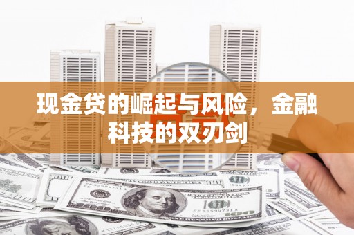 六合现金贷的崛起与风险，金融科技的双刃剑