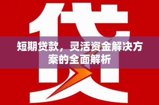 台中短期贷款，灵活资金解决方案的全面解析