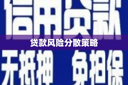 庆元贷款风险分散策略