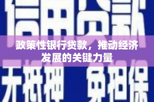 宝应县政策性银行贷款，推动经济发展的关键力量