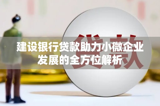 桓台建设银行贷款助力小微企业发展的全方位解析