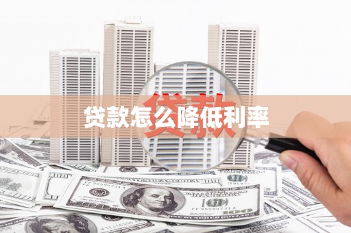 文山贷款怎么降低利率