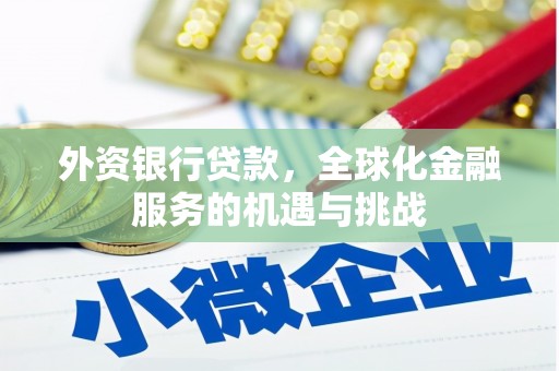 盐津外资银行贷款，全球化金融服务的机遇与挑战
