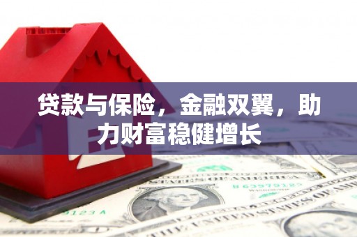 南丰贷款与保险，金融双翼，助力财富稳健增长