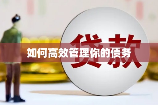 大东如何高效管理你的债务