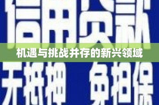 集美机遇与挑战并存的新兴领域
