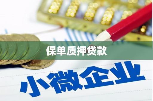 屏边保单质押贷款