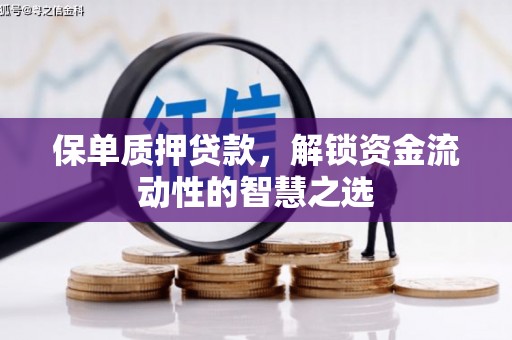 东明保单质押贷款，解锁资金流动性的智慧之选