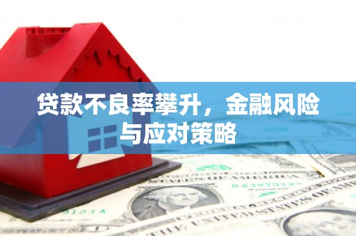 富顺贷款不良率攀升，金融风险与应对策略