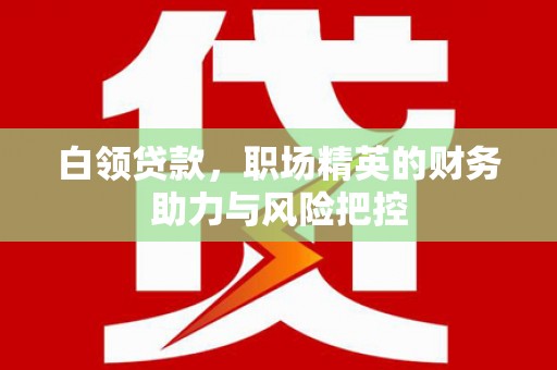 田家庵白领贷款,职场精英的财务助力与风险把控 田家庵白领贷款,职场精英的财务助力与风险把控